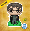 Harry Potter (Glows In The Dark) - Funko-Shop Limited Edition Exclusive